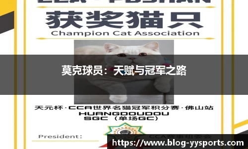 yy易游体育平台